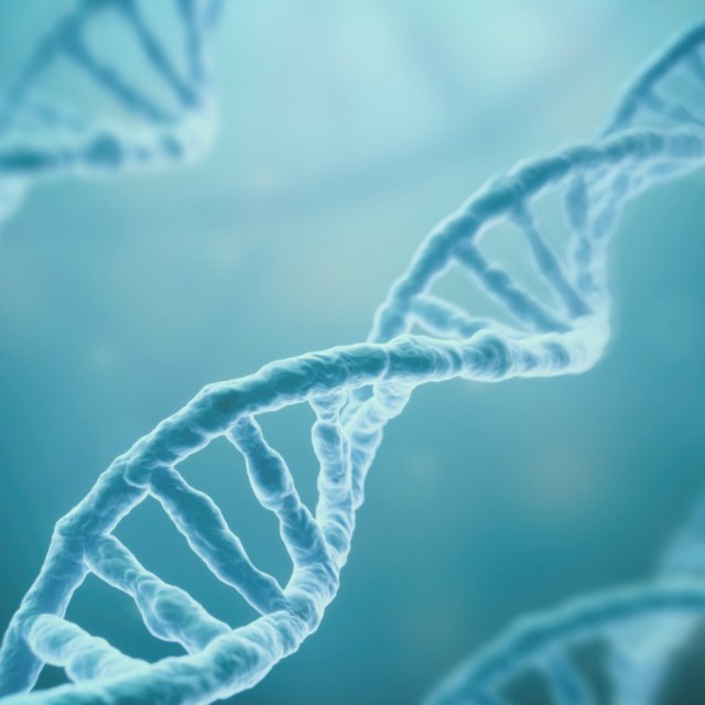 Sex-Specific Associations of MDM2 and MDM4 Variants with Risk of Multiple Primary Melanomas and Melanoma Survival in Non-Hispanic Whites